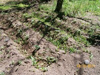 /album/proceso/a100-1855-copiar-jpg/